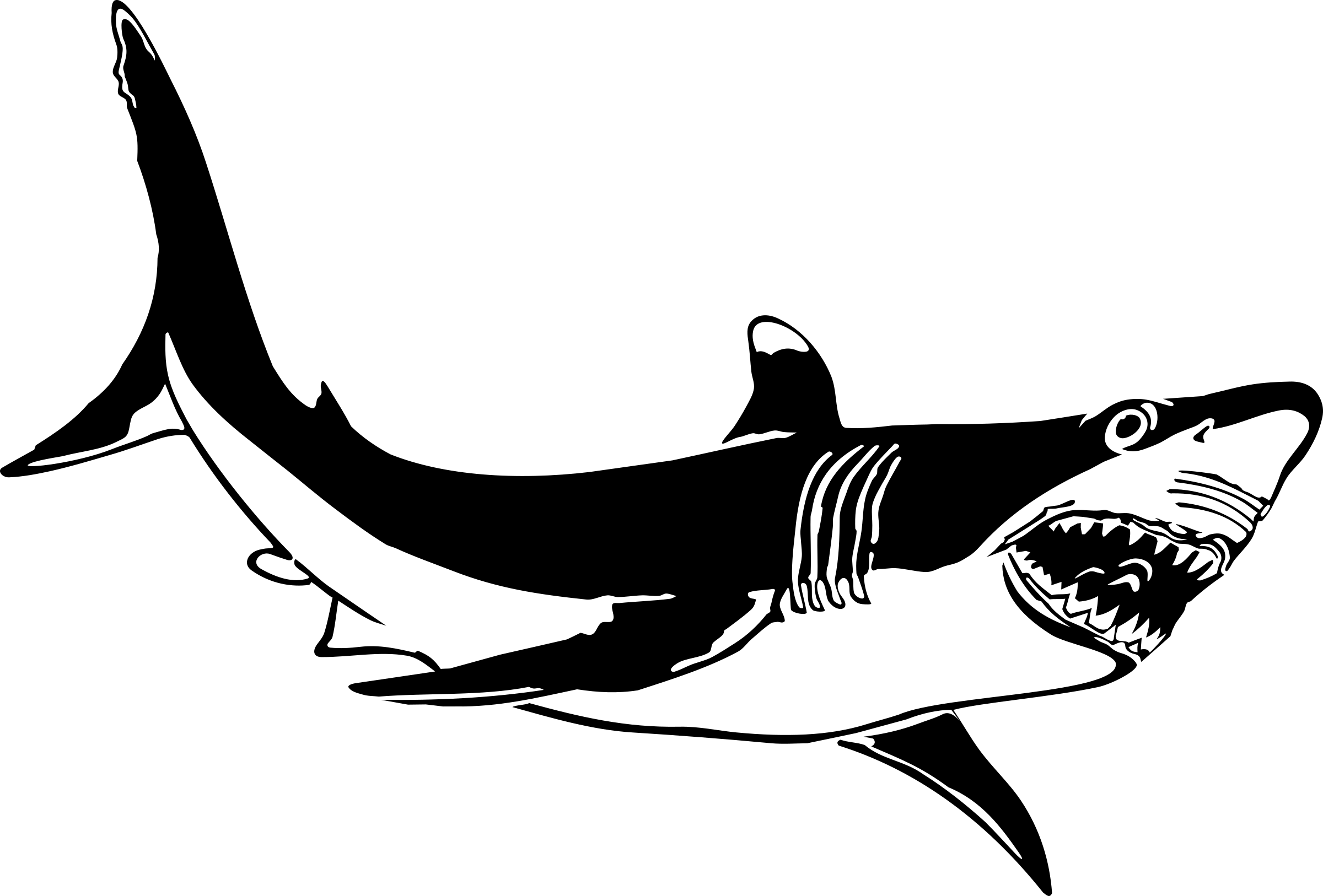 User Badge