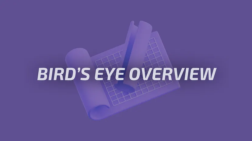Bird's Eye Overview